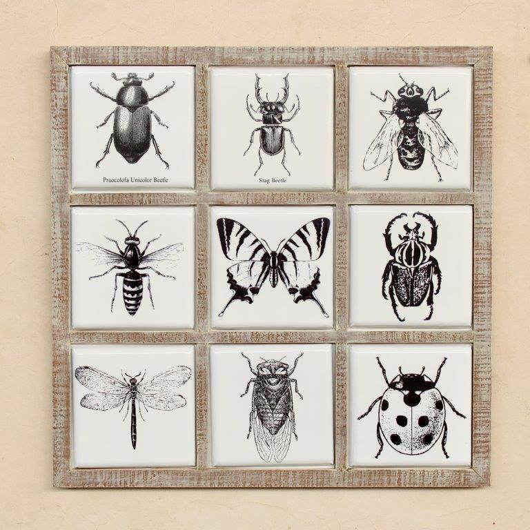 9 DIVISION WHITE ENAMEL INSECT PICTURE  72X72CM